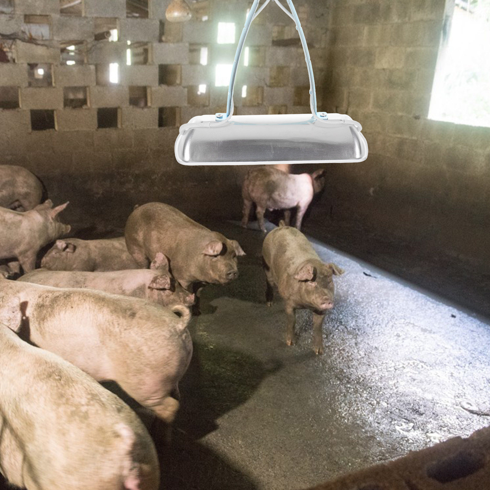 Farming A - مصباح حماية لمزارع الخنازير، مدفأة حظائر