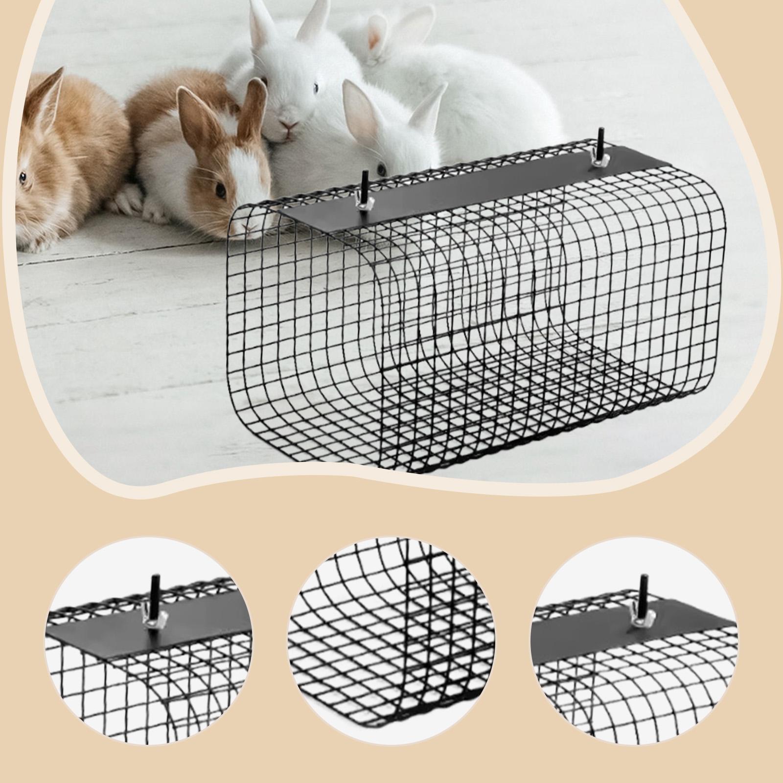 نفق مخبأ متين للحيوانات الصغير - مراجعة Rabbit Cage Wire وسعره