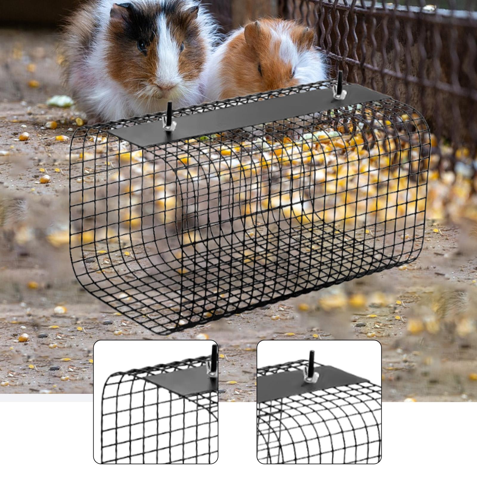 نفق مخبأ متين للحيوانات الصغير - مراجعة Rabbit Cage Wire وسعره