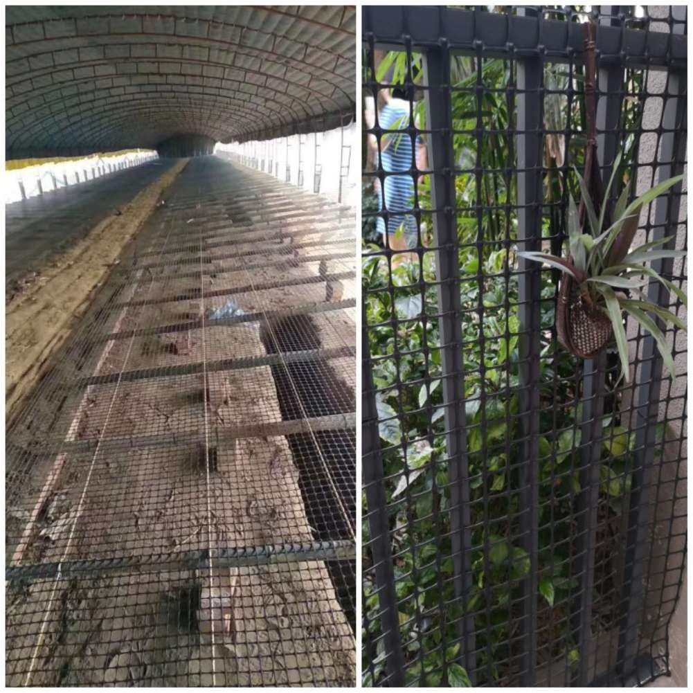 شبكة حماية بلاستيكية سوداء للح - مراجعة Rabbit Cage Wire وسعره