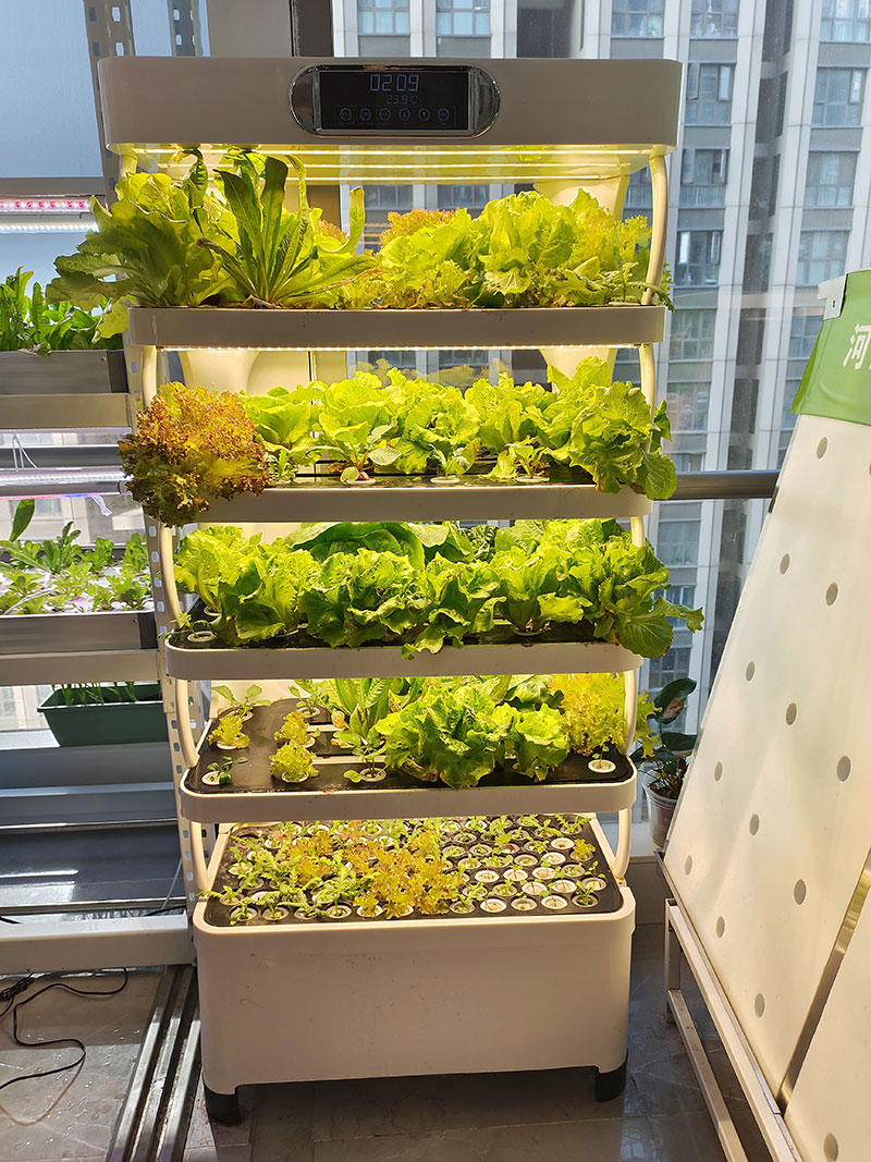 ج آلة الزراعة لزراعة الخضار ال - مراجعة Agriculture Farming Equipments وسعره