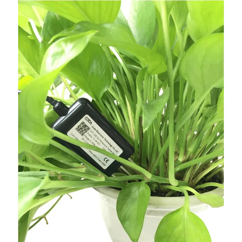 CDT-30B Rs485 0-2v الناتج مصنع - مراجعة Soil Moisture Sensor وسعره